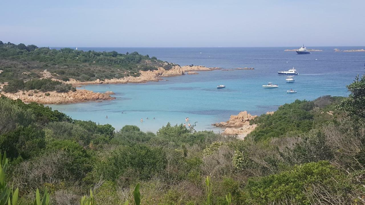 Home Of Fame - Home Gallery With Fully Equipped Kitchen, Separate Entrance, Free Parking Olbia Zewnętrze zdjęcie